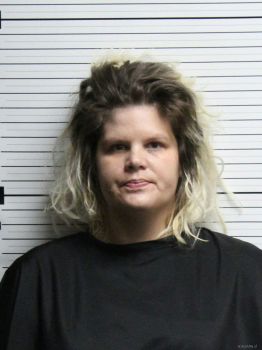 Sara Ann Williams Mugshot