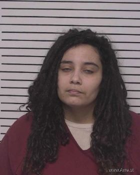 Sarah Kaitlind Chesney Mugshot