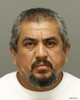 Sergio  Chavez-martinez Mugshot