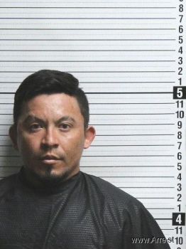 Sergio  Hernandez-lopez Mugshot