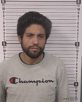 Sergio M Mendoza Mugshot