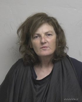 Shannon Lee Longfellow Mugshot