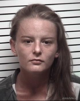 Shantelle Marie Painter Mugshot