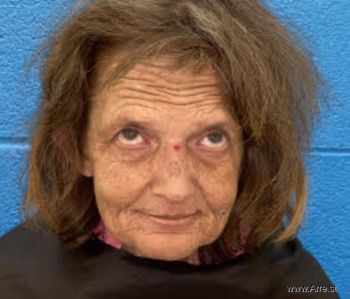 Sharon Lynn Webb Mugshot