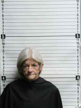 Sharon Lynne Williams Mugshot