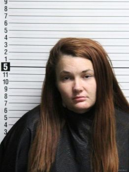 Shelby Leigh James Mugshot