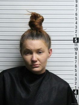 Shelby Leigh James Mugshot