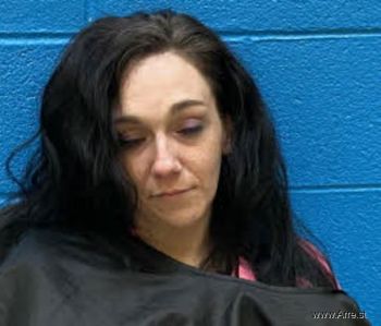 Shelby Danielle Robinson Mugshot