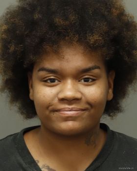 Skyy Ann Marie Artis Mugshot