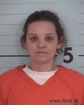 Stacey Lynn Erickson Mugshot