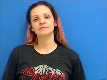 Stacey Lynn Erickson Mugshot