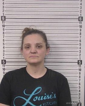 Stacey Lynn Erickson Mugshot