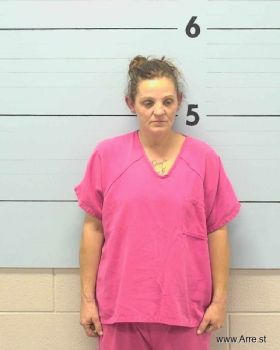 Stacey Lynn Erickson Mugshot