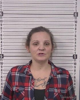 Stacey Lynn Erickson Mugshot