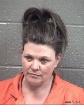 Stephanie Erin Higgins Mugshot