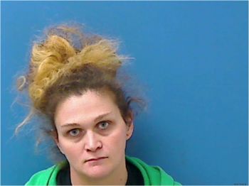 Stephanie Ballas Johnson Mugshot