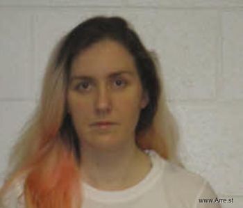 Stephanie Elizabeth Vincent Mugshot