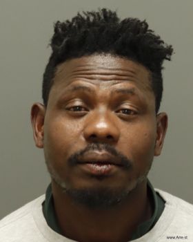 Stephen Sefunmi Adebosoye Mugshot