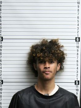 Steven Lewis Harrell Mugshot