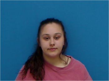 Summer Michelle Davis Mugshot