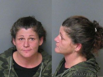 Susan Mitchem Jones Mugshot