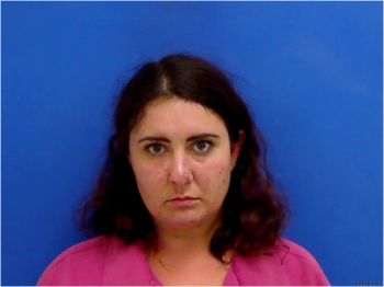 Susan Ann Walters Mugshot