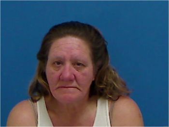 Susan Mcmakin Wilson Mugshot