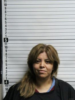 Susel Nmn Salas-sanchez Mugshot