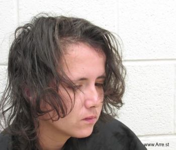 Tammie Marie Mann Mugshot