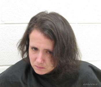 Tammie Marie Mann Mugshot