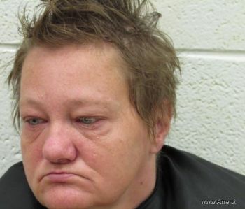 Tammy Marie Bartlett Mugshot