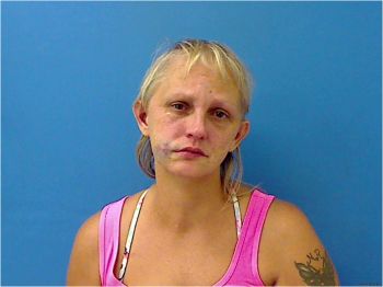 Tammy Renee Farley Mugshot