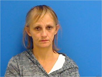 Tammy Renee Farley Mugshot