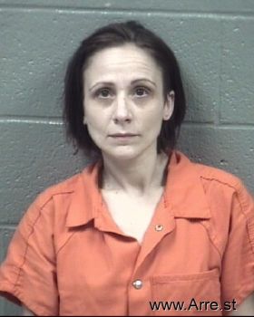 Tammy Renee Hollar Mugshot