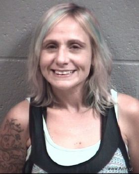 Tammy Renee Hollar Mugshot