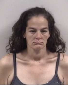 Tammy  Williams Mugshot