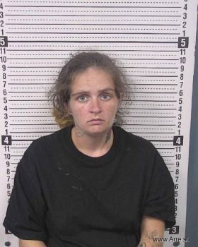 Taylor Renee Patrie Mugshot