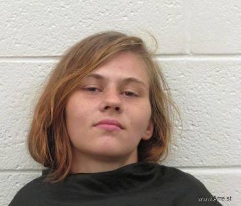 Taylor Paige Stiles Mugshot