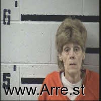 Teresa Lynn Loftis Mugshot