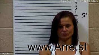 Terra Michelle Silvers Mugshot