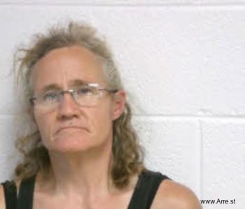 Terri Michelle Bolin Mugshot