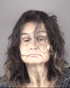 Terry Ann Collins Mugshot