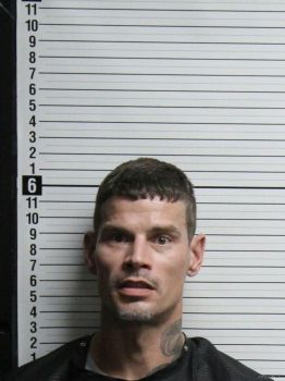 Terry Lynn Jones Mugshot