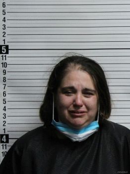 Theresa Ann King Mugshot