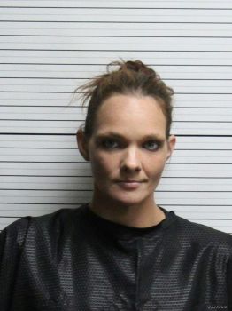 Tiffany Ann Burchfield Mugshot