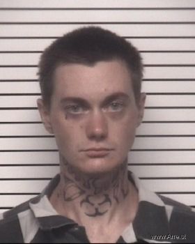 Timothy Ryan Chapman Mugshot