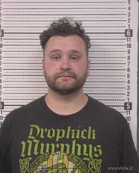 Timothy Ryan Ellis Mugshot