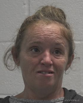 Tina Louise Davis Mugshot