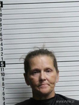 Tina Marie Holloman Mugshot