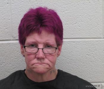 Tina Louise Robinson Mugshot